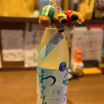 本日のオススメですー！ イメージ画像